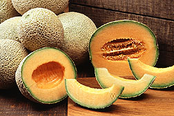 Muskmelon fruit